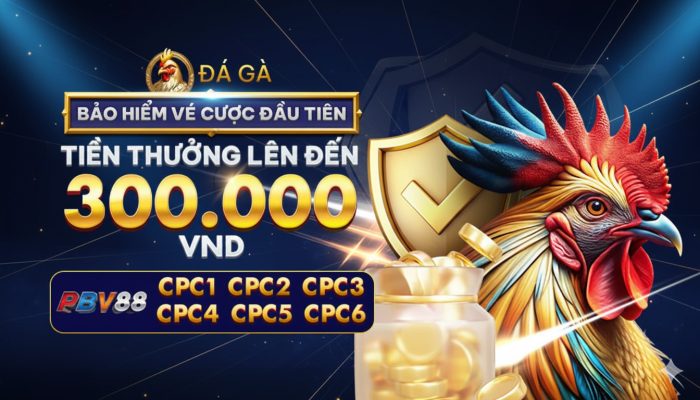 Khuyến mãi đá gà PBV88