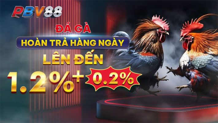 Khuyến Mãi Đá Gà PBV88